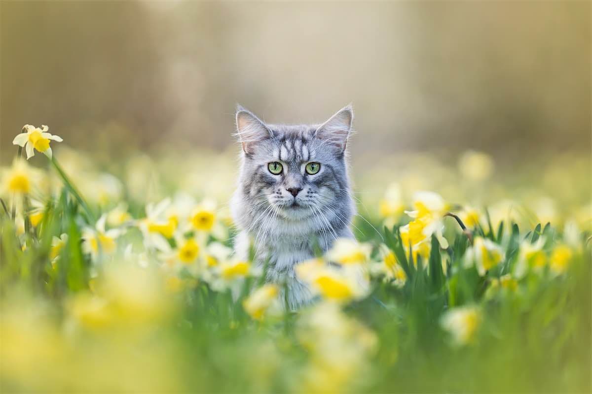 Chat 10